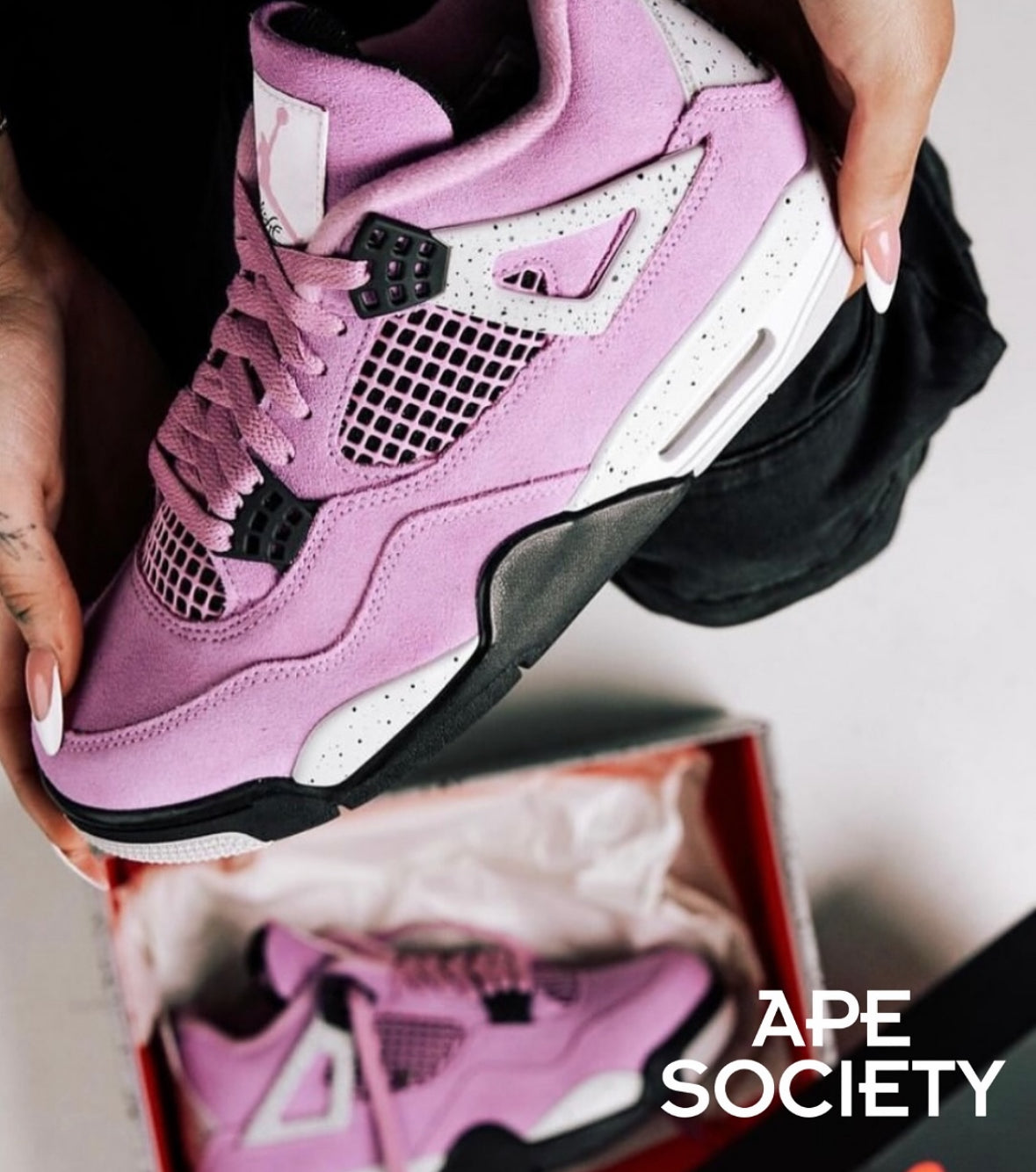 Ape Society 